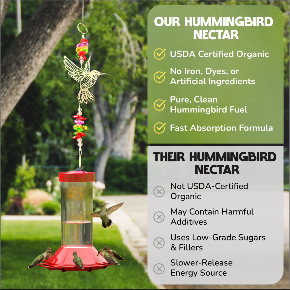 Hummingbird Momma Premium Organic Hummingbird Food - 4 Pack
