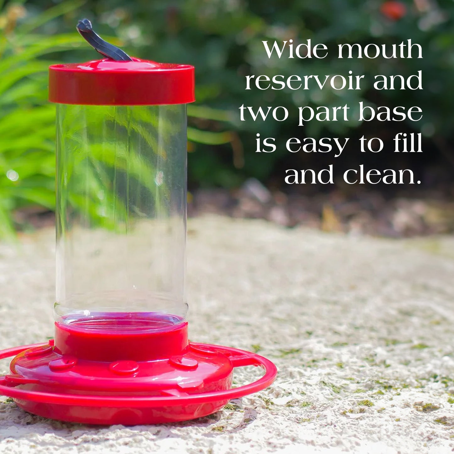Hummingbird Momma's Starter Kit