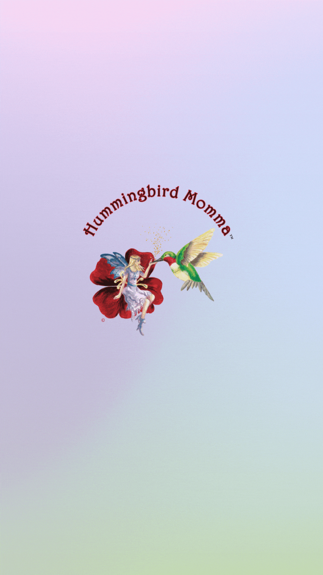 Load video: A Message From Hummingbird Momma