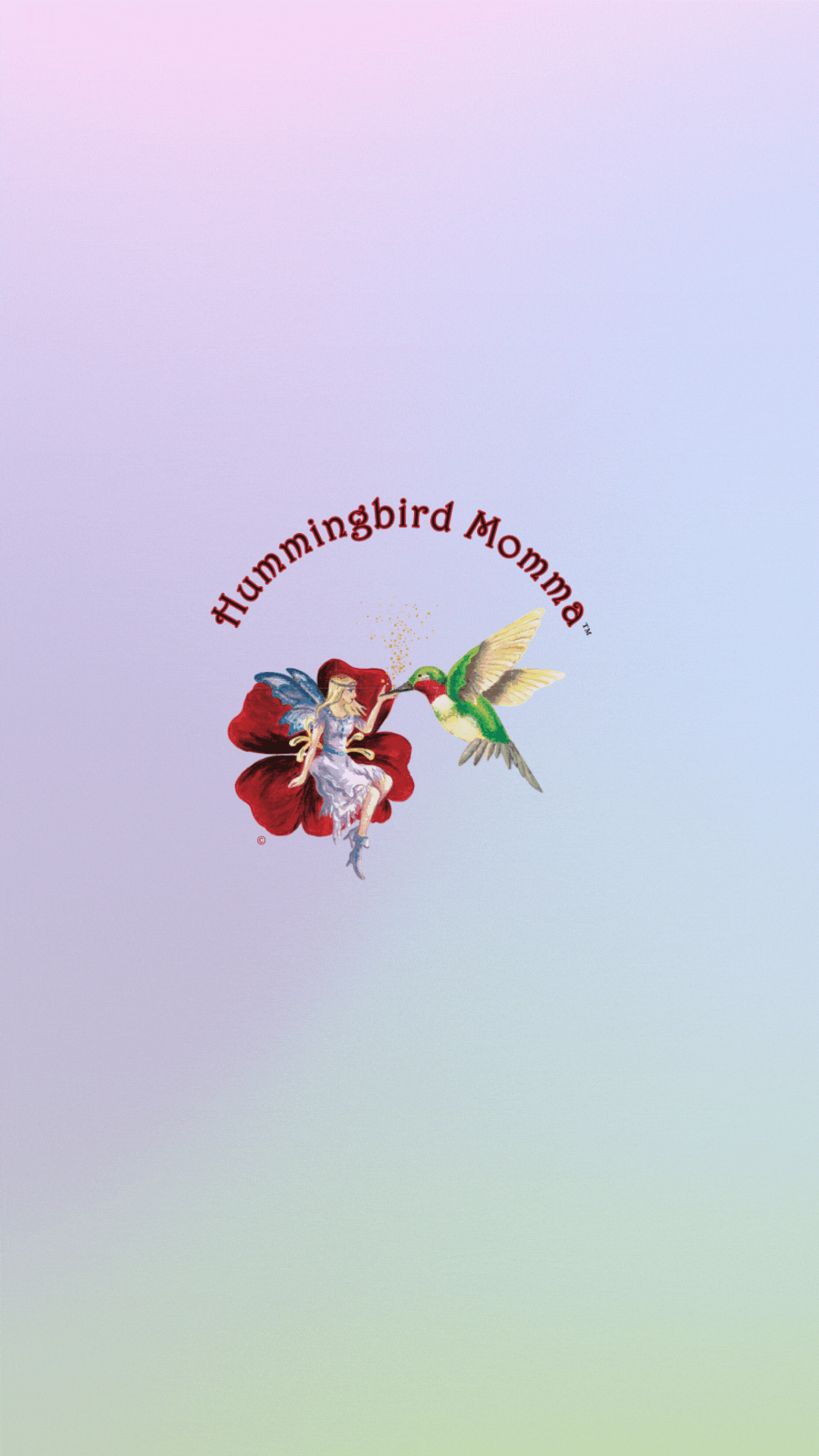 Keeping Clean, Safe Feeders with Hummingbird Momma