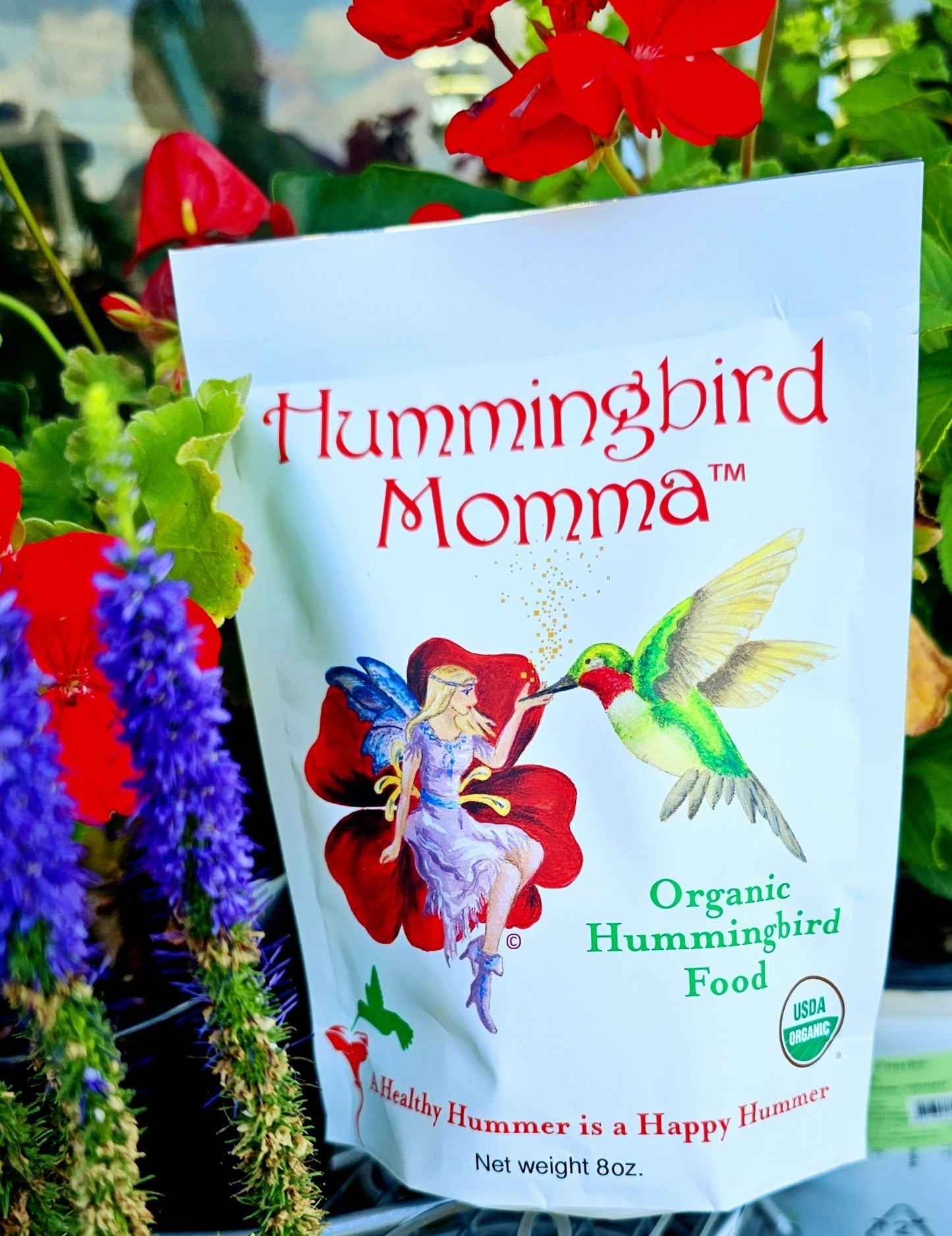 Hummingbird Momma Premium Organic Hummingbird Food - 12 Count - Hummingbird Momma