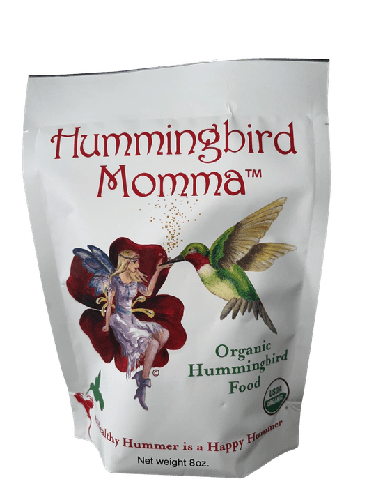 Hummingbird Momma's Starter Kit - Hummingbird Momma